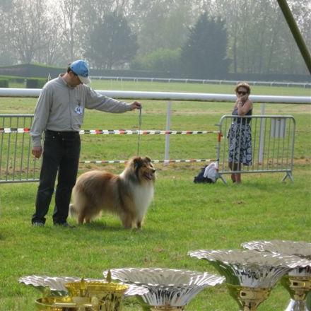 album/ene-2007-vladimir-feu-de-russie-de-la-foret-des-aigles.jpg