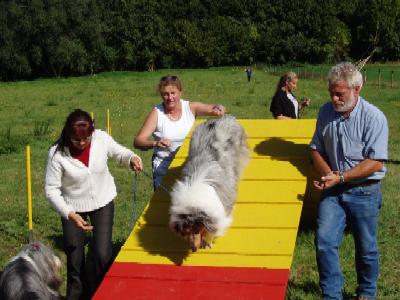 album/photo-portee-d-2004-09-19-una-agility.jpg