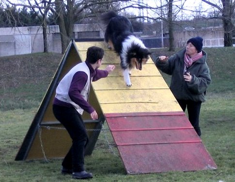 album/photo-portee-d-2005-03-05-dreamy-agility-2.jpg