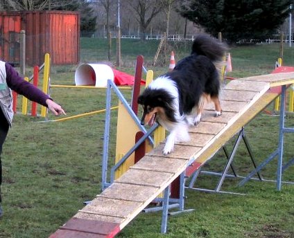 album/photo-portee-d-2005-03-05-dreamy-agility-3.jpg