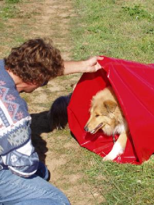 album/photo-portee-f-2004-09-19-peluche-agility.jpg