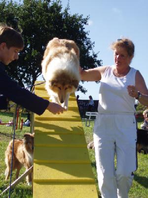 album/photo-portee-f-2004-09-19-valeen-agility.jpg