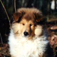 album/photo-zeus-1998-bebe.jpg